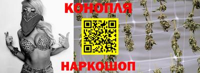 a pvp Моздок