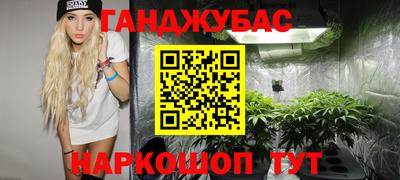 a pvp Моздок