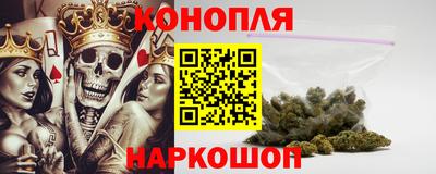 сатива Можга